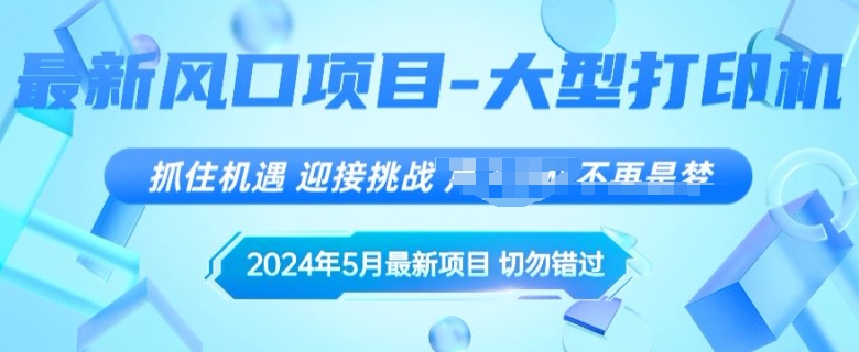 2024年5月最新风口项目，闲鱼卖大型打印机，无货源赚差价模式，小白也可以操作