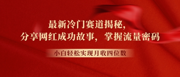 最新冷门赛道揭秘，分享网红成功故事，小白轻松掌握流量密码