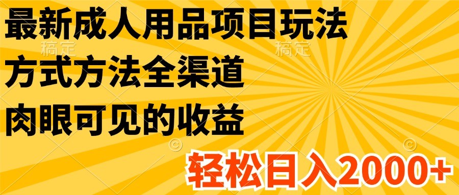 最新成人用品项目玩法，方式方法全渠道，肉眼可见的收益，轻松日入2000+